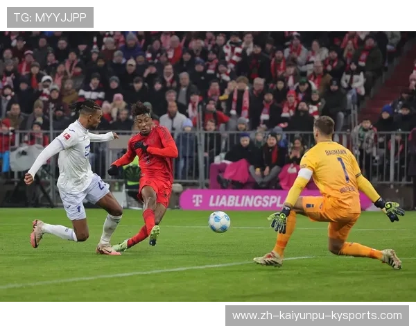 德甲历届球队排名演变与冠军争夺战