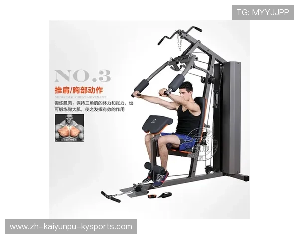 海豹健身器材：海豹品牌健身器材的创新设计与用户评价